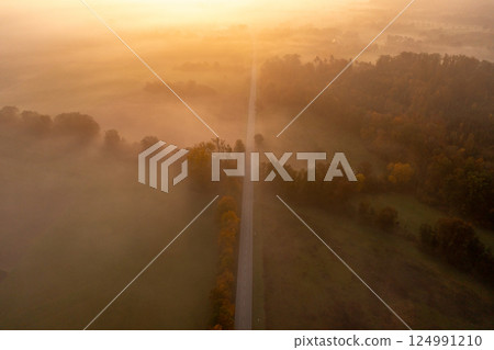 Drone aerial image with an autumn forest and a road on a foggy morning at golden hour Drone aerial image with an autumn forest and a road on a foggy morning at golden hour 124991210