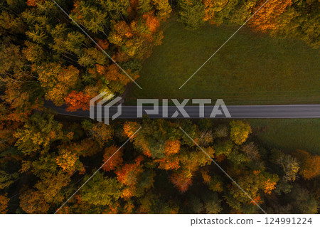 Drone shot, directly above, with single lane road going through an autumn forest 124991224