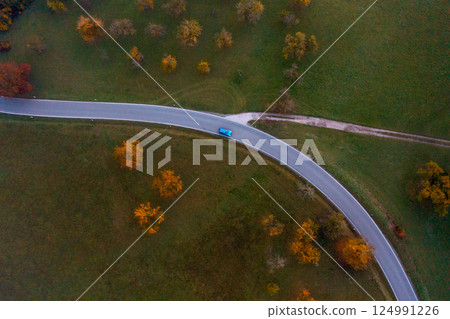 Road passing through an autumn orchard on a cold morning in October, drone aerial view 124991226