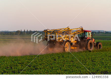 Tractor working on the farm at sunset. Tractor on the field. Farm machinery. Special equipment, agriculture 124991338