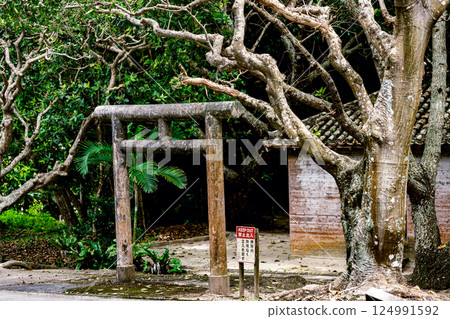 Kabira Shell Mounds, where faith lives on, and Utaki, a quiet sacred place surrounded by forest 124991592