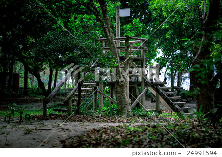 A quiet and relaxing space at Sukuji Beach Park on Ishigaki Island 124991594