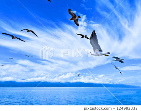 Sado Island seen from offshore (Sado City, Niigata Prefecture) Sado Island seen from offshore (Sado City, Niigata Prefecture) 124992332