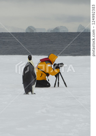 Emperor penguin on ice with photographer in Antarctica Emperor penguin on ice with photographer in Antarctica 124992383