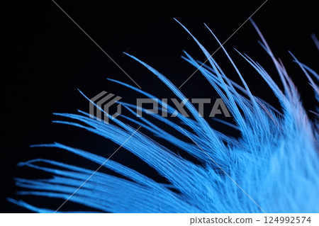 Blue natural texture abstract on black background, bird feather, soft natural texture on dark background 124992574