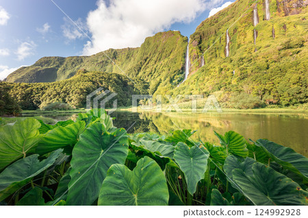Lagoa dos Patos reflects waterfalls cascading down Flores Island's lush mountains 124992928