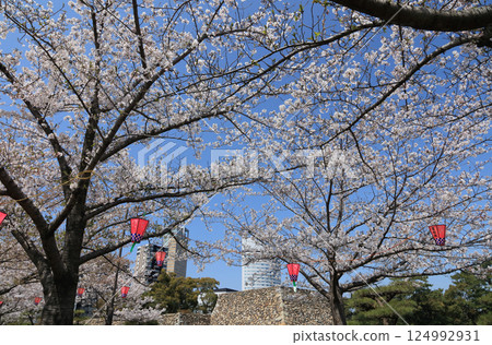 View of the castle tower from Sakura-no-Baba on the ruins of Takamatsu Castle, the symbolic tower of Sunport Takamatsu, and JR Hotel Clement Takamatsu 124992931