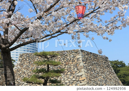 從高松城遺址的櫻之馬場和高松太陽港的 JR 克萊門特高松酒店俯瞰天守閣 124992936