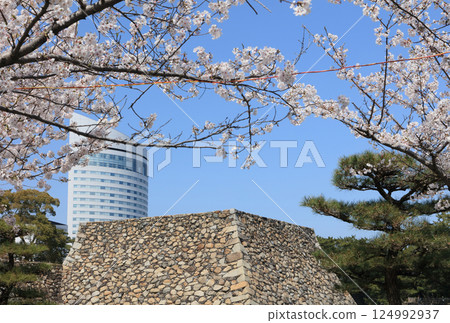 View of the castle tower from Sakura-no-Baba at the Takamatsu Castle ruins and JR Hotel Clement Takamatsu at Sunport Takamatsu 124992937