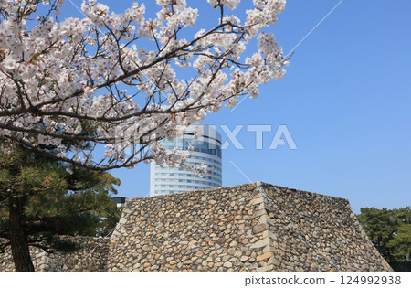 View of the castle tower from Sakura-no-Baba at the Takamatsu Castle ruins and JR Hotel Clement Takamatsu at Sunport Takamatsu 124992938