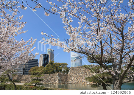 View of the castle tower from Sakura-no-Baba on the ruins of Takamatsu Castle, the symbolic tower of Sunport Takamatsu, and JR Hotel Clement Takamatsu 124992966