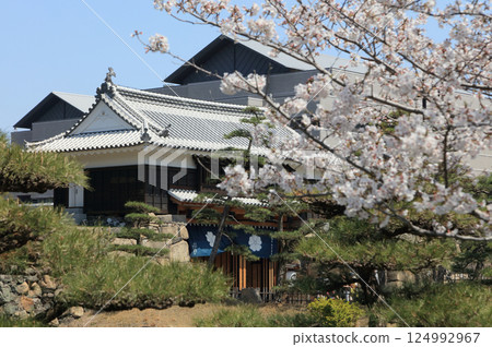 從高松城遺址的櫻之馬場眺望櫻禦門(背後是香川縣立博物館和香川縣立市民中心雷克薩姆會館) 從高松城遺址的櫻之馬場眺望櫻禦門(背後是香川縣立博物館和香川縣立市民中心雷克薩姆會館) 124992967