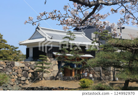 從高松城遺址的櫻花馬場看到的櫻花五門 124992970