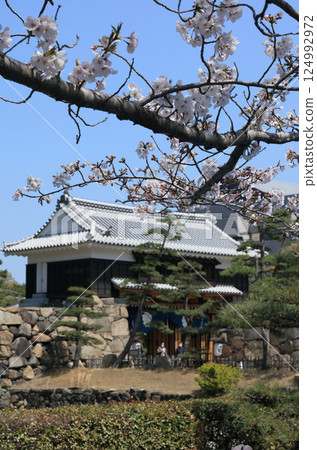 從高松城遺址的櫻花馬場看到的櫻花五門 124992972