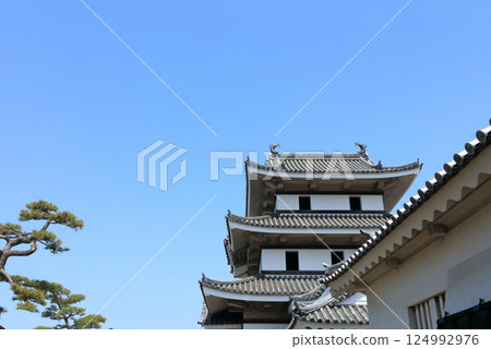 Tamamo Park, Takamatsu Castle's Tsukimi Tower 124992976