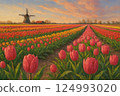 tulips, windmill, flowers 124993020