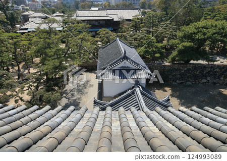 從高松城遺址的月見塔上眺望渡櫓和披雲閣,遠處則是高松市 從高松城遺址的月見塔上眺望渡櫓和披雲閣,遠處則是高松市 124993089