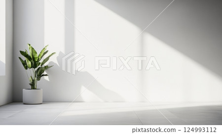 Minimalist white room featuring a single green plant in a white pot creating serene ambiance. Sunlight casts delicate shadows, emphasizing simplicity and tranquility 124993112