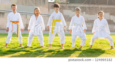 Group of focused schoolchildren practicing karate at park Group of focused schoolchildren practicing karate at park 124993182