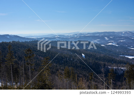 Woods at Silesian Beskid mountains range near European Bialy Krzyz in Poland 124993393