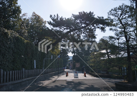 Jonangu Shrine: Deserted early morning, west approach 4 124993483