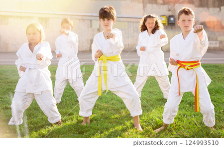Group of preteen children practicing karate in summer park Group of preteen children practicing karate in summer park 124993510