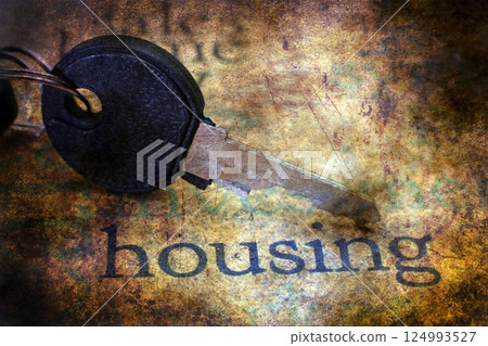 Key on housing grunge background 124993527