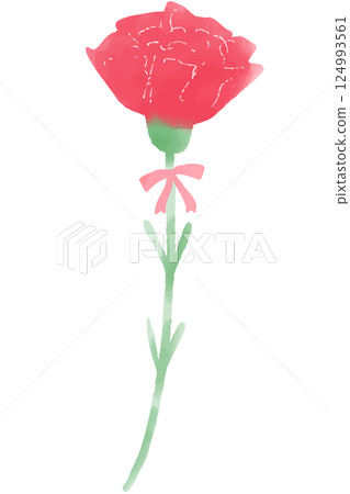 Illustration of a single carnation with a ribbon - watercolor-style hand-drawn illustration Illustration of a single carnation with a ribbon - watercolor-style hand-drawn illustration 124993561