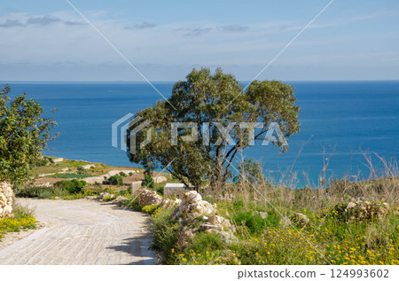 Tranquil Mediterranean Pathway with Sea View Tranquil Mediterranean Pathway with Sea View 124993602