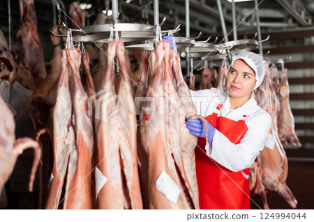Female slaughterhouse worker inspecting mutton carcass in meat storage Female slaughterhouse worker inspecting mutton carcass in meat storage 124994044