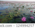 Taleb Adane's Red Lotus 124994257
