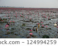 Taleb Adane's Red Lotus 124994259