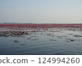 Taleb Adane's Red Lotus 124994260