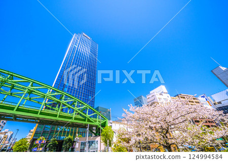 Tokyo cityscape in Japan: Sobu Main Line Matsuzumibashi overpass over Shoheibashi intersection, skyscrapers, cherry blossoms, etc. 124994584