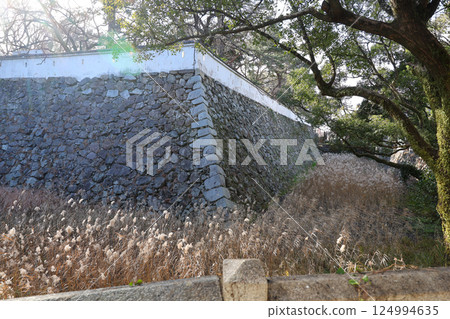 福岡縣北九州市小倉城 124994635
