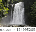 Oita Sakura Waterfall 124995285