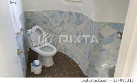 interior of a bathroom with toilet 124995313