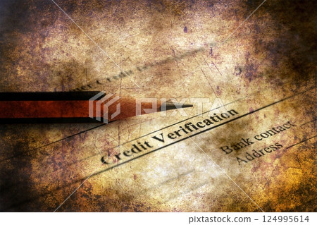 Credit verification form grunge concept Credit verification form grunge concept 124995614