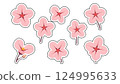 cherry blossom. pink flowers on a white background 124995633