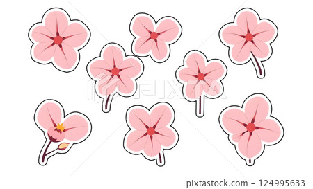 cherry blossom. pink flowers on a white background cherry blossom. pink flowers on a white background 124995633