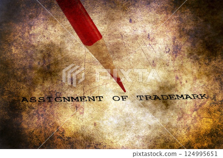 Trademark grunge concept Trademark grunge concept 124995651