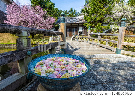 盛開的大志城 124995790