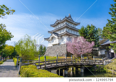 Oshi Castle in full bloom 124995794