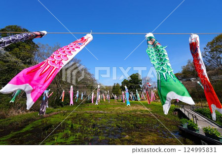 Carp streamer 124995831