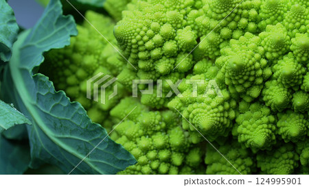 Macro Of Fresh Romanesco broccoli cabbage. Unique cauliflower Fractal Vegetable 124995901
