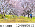 Angyo Kanzakura at Kita Asaba Sakurazutsumi Park, Saitama Prefecture Angyo Kanzakura at Kita Asaba Sakurazutsumi Park, Saitama Prefecture 124995913