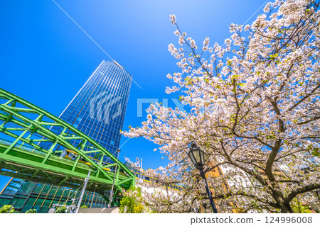 Tokyo cityscape in Japan: The Sobu Line running over the Matsuzumibashi overpass on the Sobu Main Line, skyscrapers, cherry blossoms, etc. Tokyo cityscape in Japan: The Sobu Line running over the Matsuzumibashi overpass on the Sobu Main Line, skyscrapers, cherry blossoms, etc. 124996008