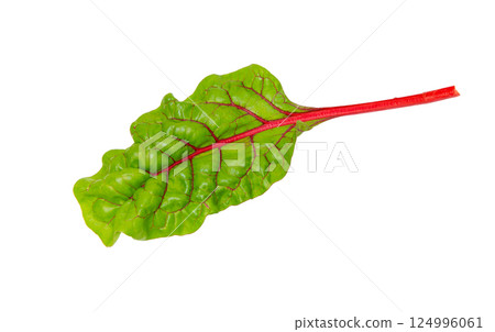 Beet leaf with clipping path on white 124996061