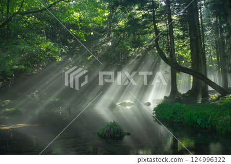 光之河 124996322