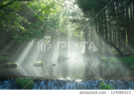 光進森林 124996323